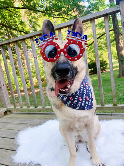 Firecracker Bandana