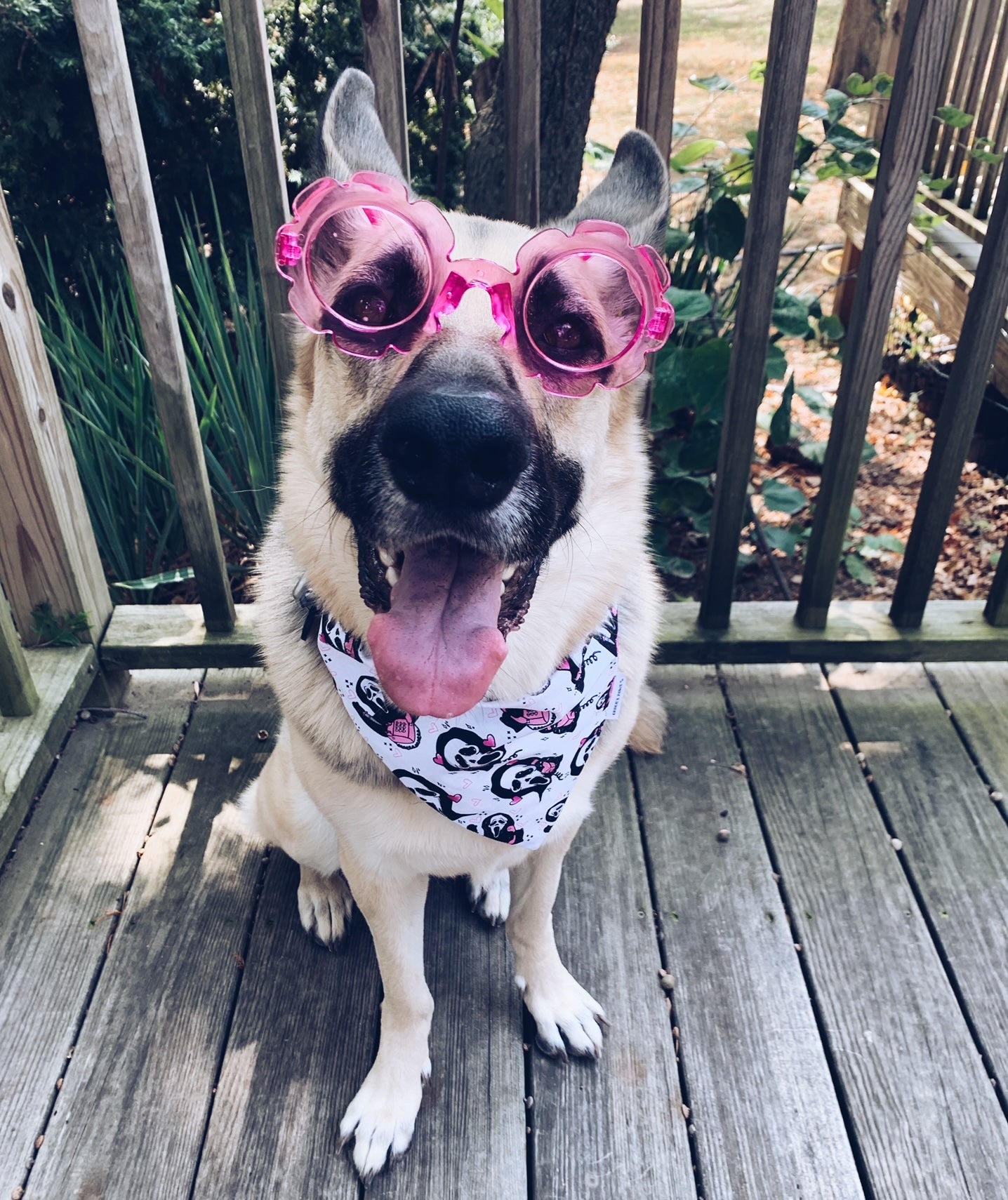 Pink Scream Bandana
