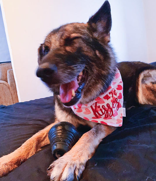 Heart Bandana