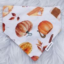 Pumpkin Spice Bandana