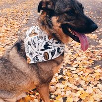 Black Spooky Bandana