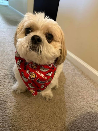 Buckeye State Bandana