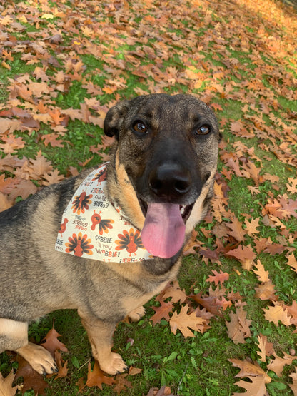 Gobble Till you Wobble Bandana