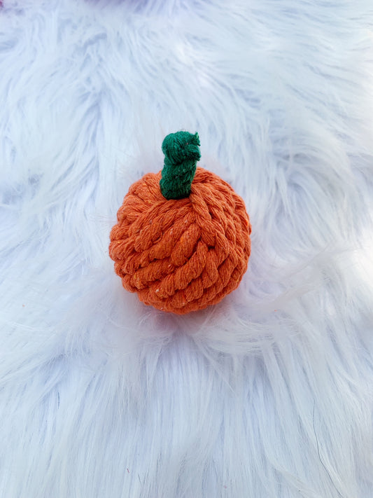 Pumpkin Toy