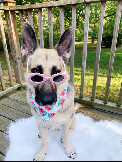 Watermelon Bandana