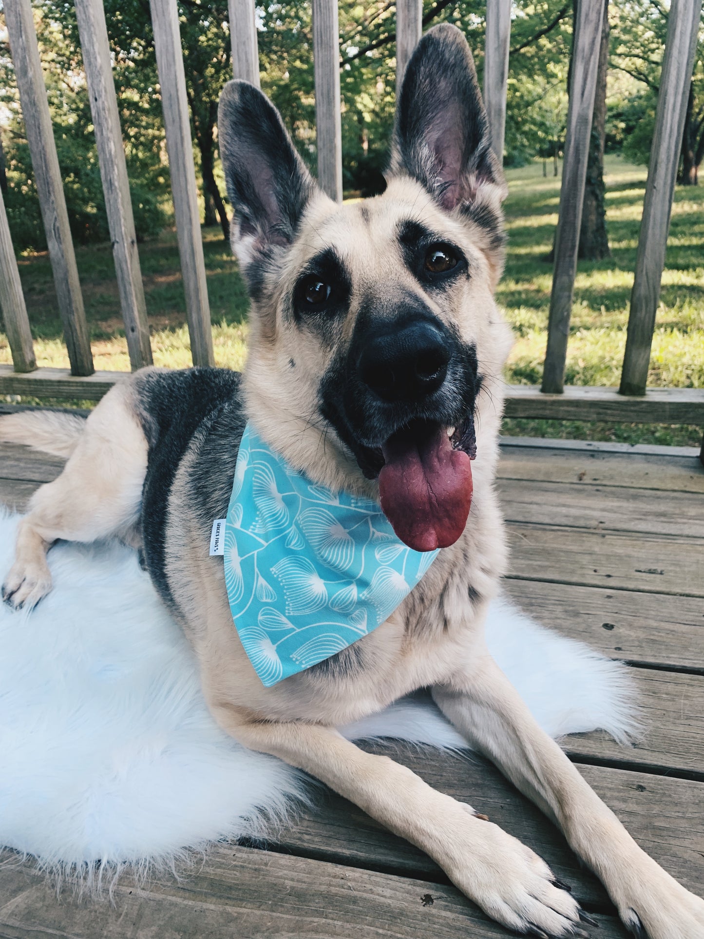 Blue Dandelions Bandana