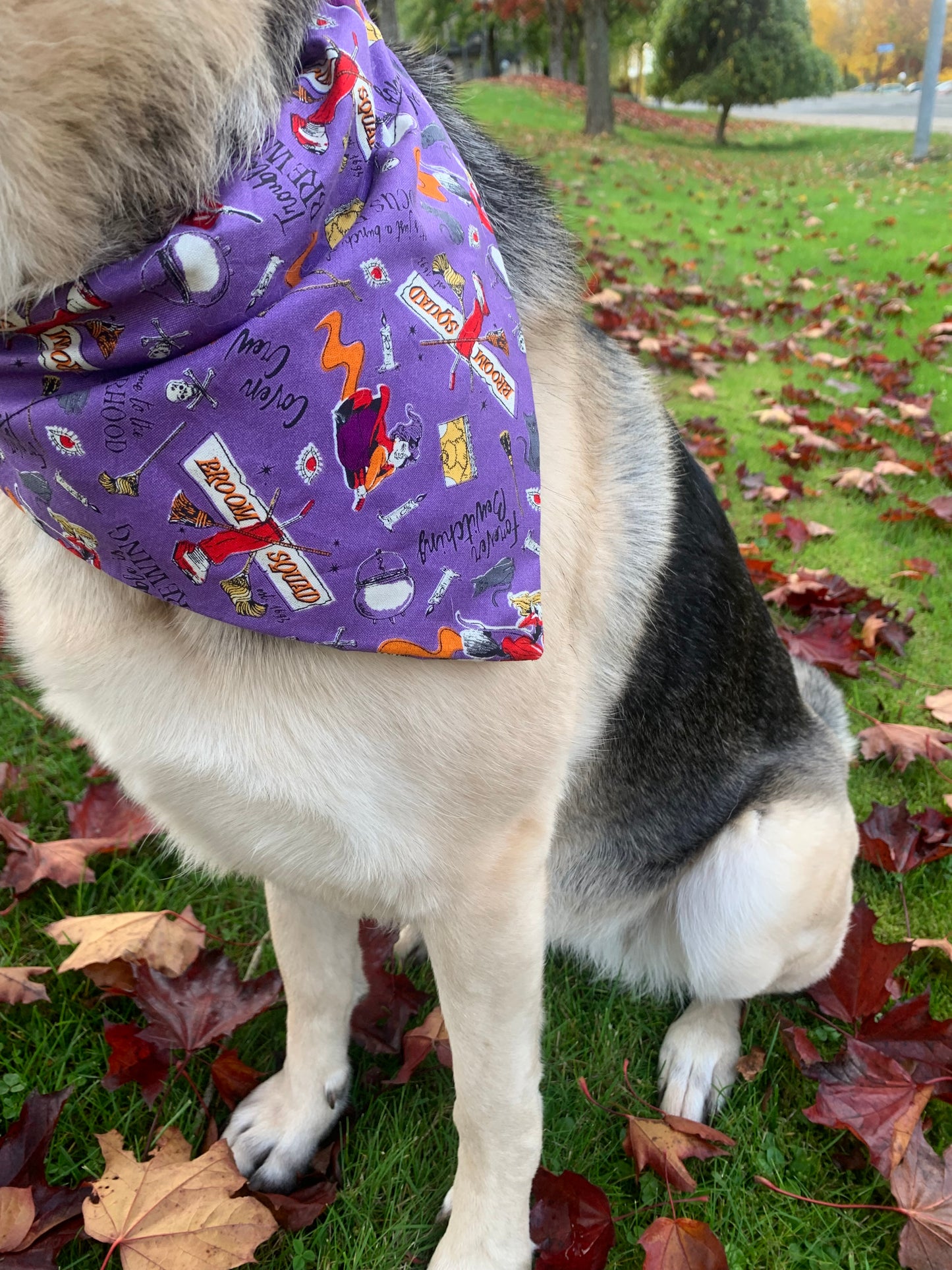 Hocus Pocus Bandana