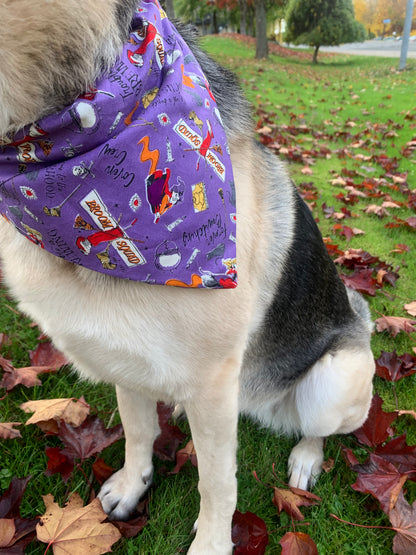 Hocus Pocus Bandana