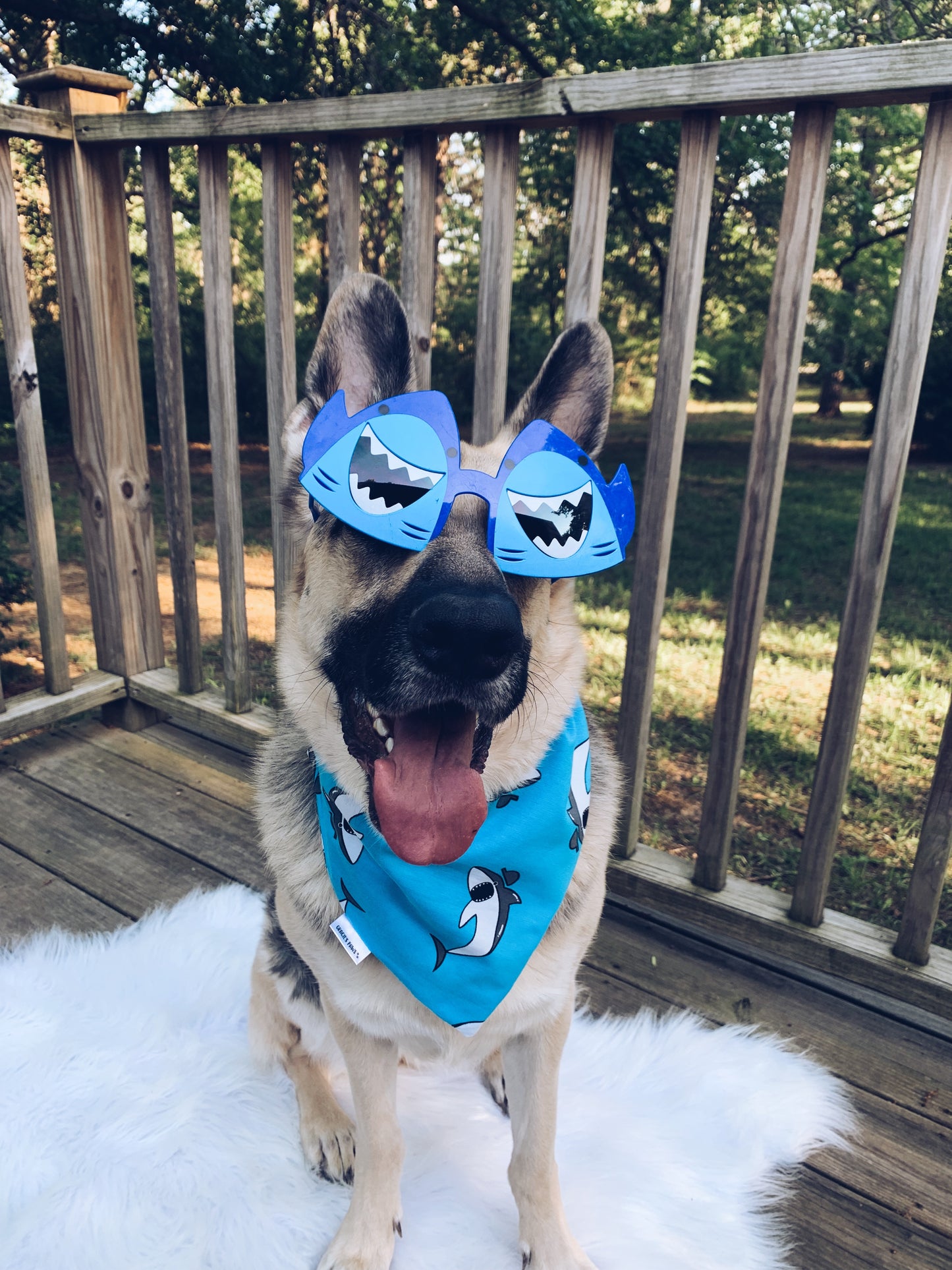 Shark Bandana