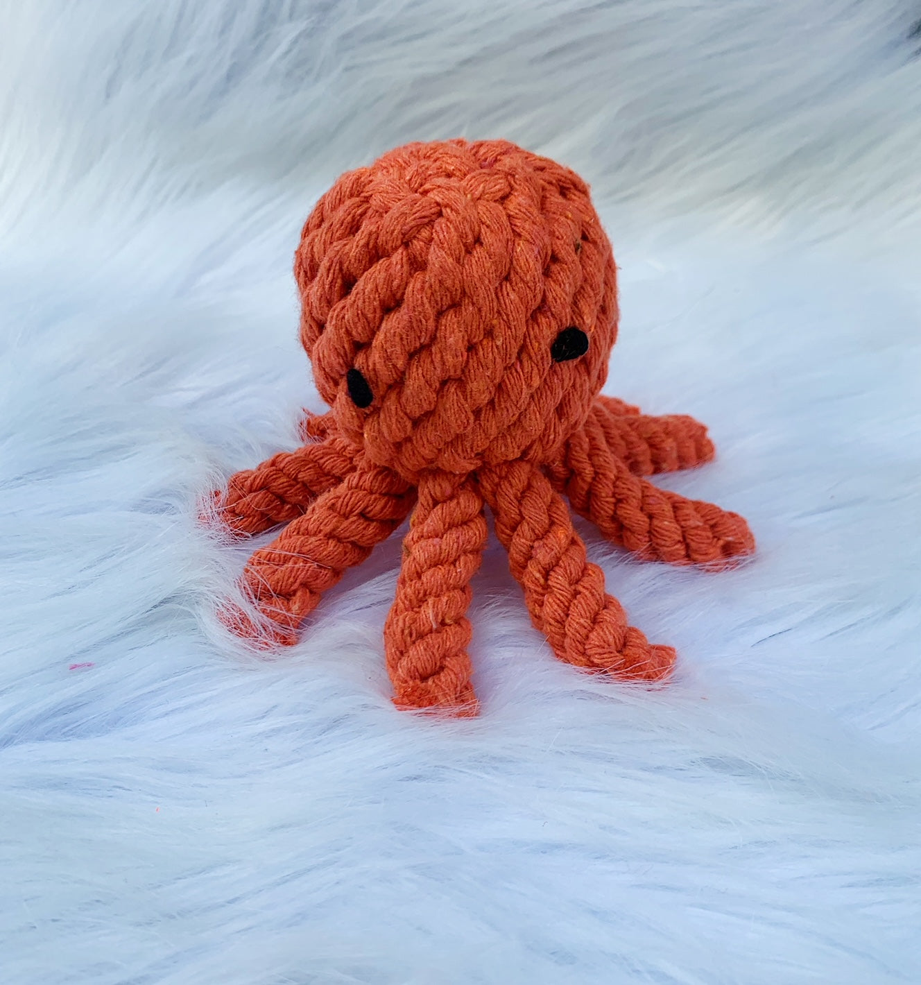 Octopus Toy