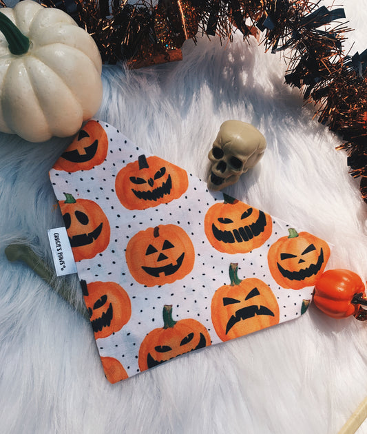 Pumpkin Bandana