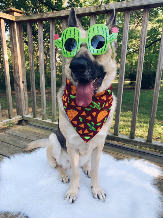 Taco Bandana