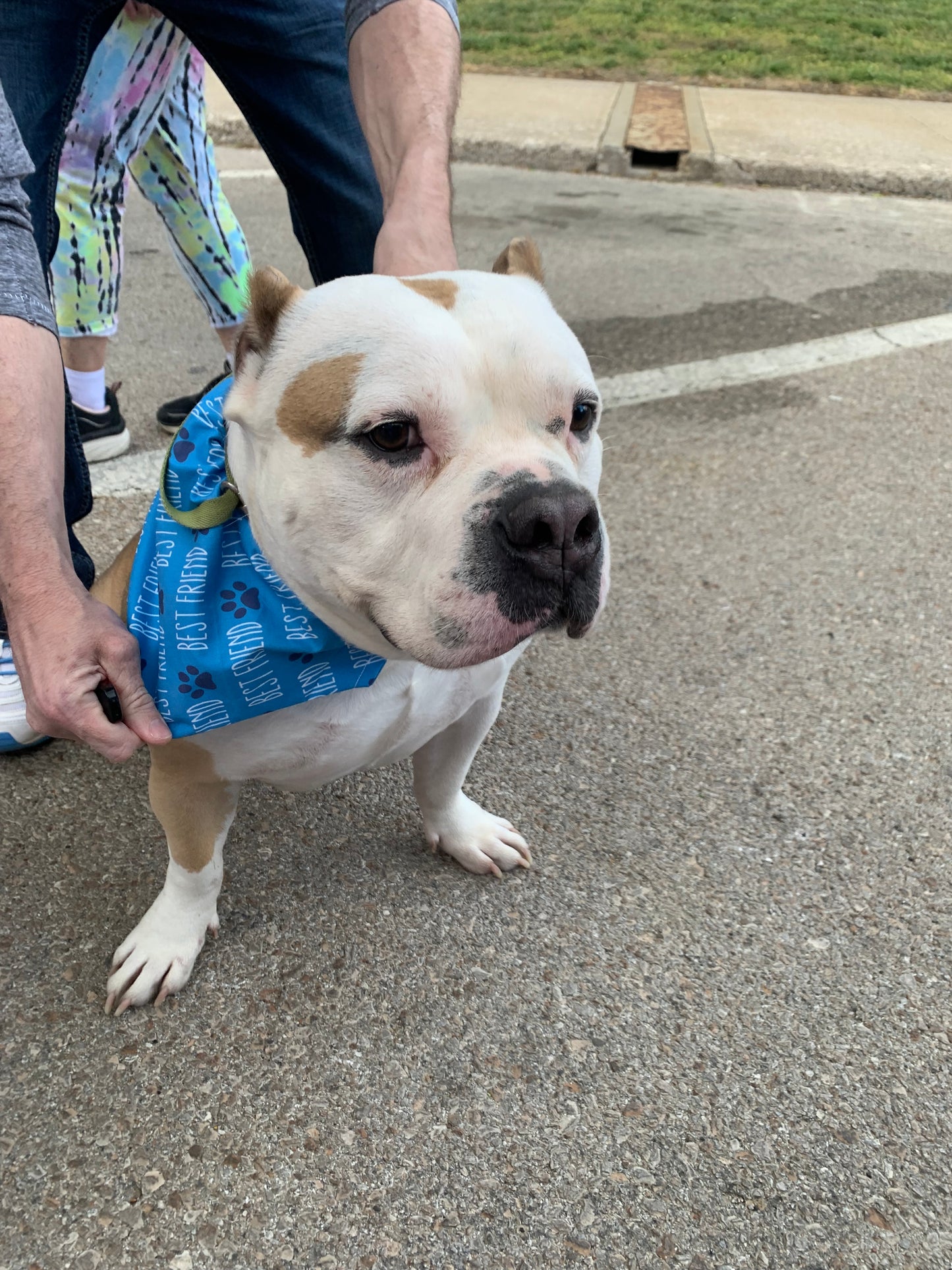 Best Friends Bandana