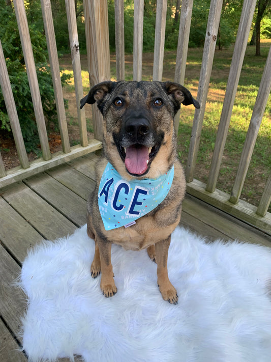 Its My Barkday Bandana