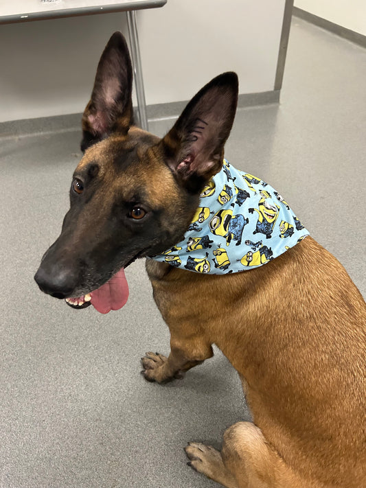 Minions Bandana