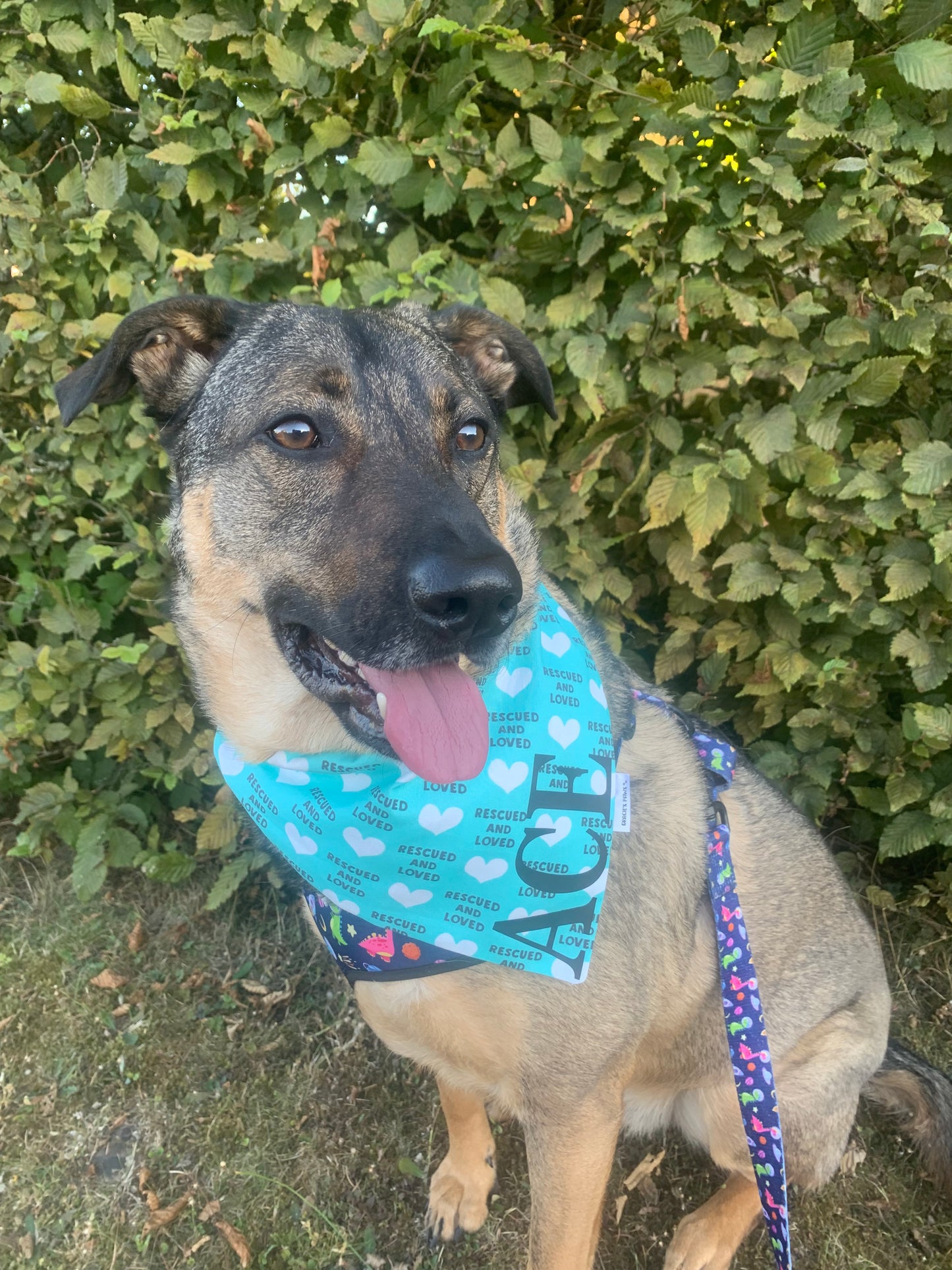 Rescued & Loved Bandana