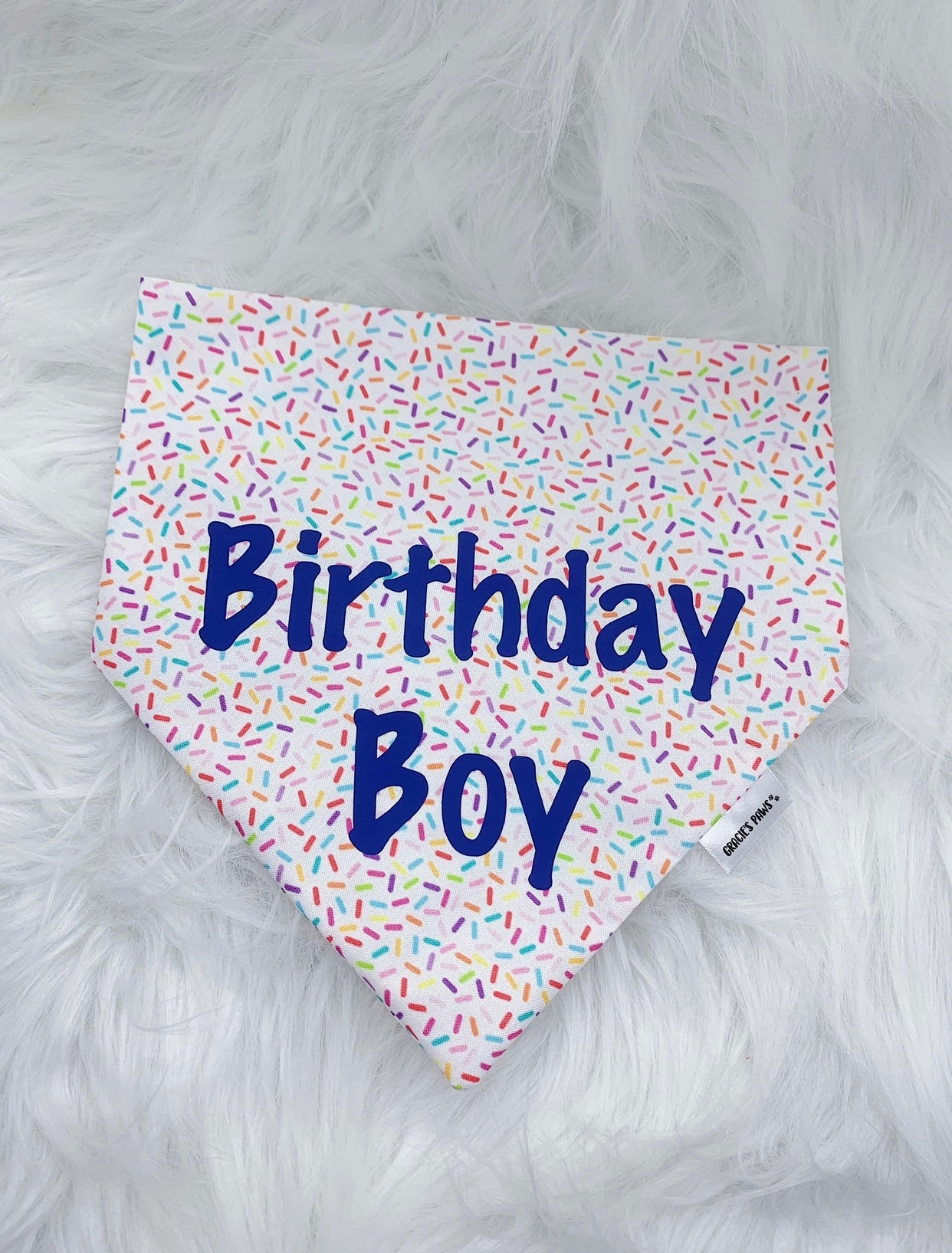 Birthday Boy Bandana