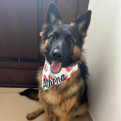 Watermelon Bandana