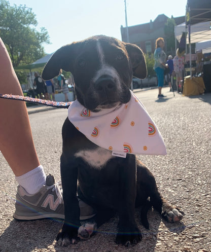 Rainbow Bandana