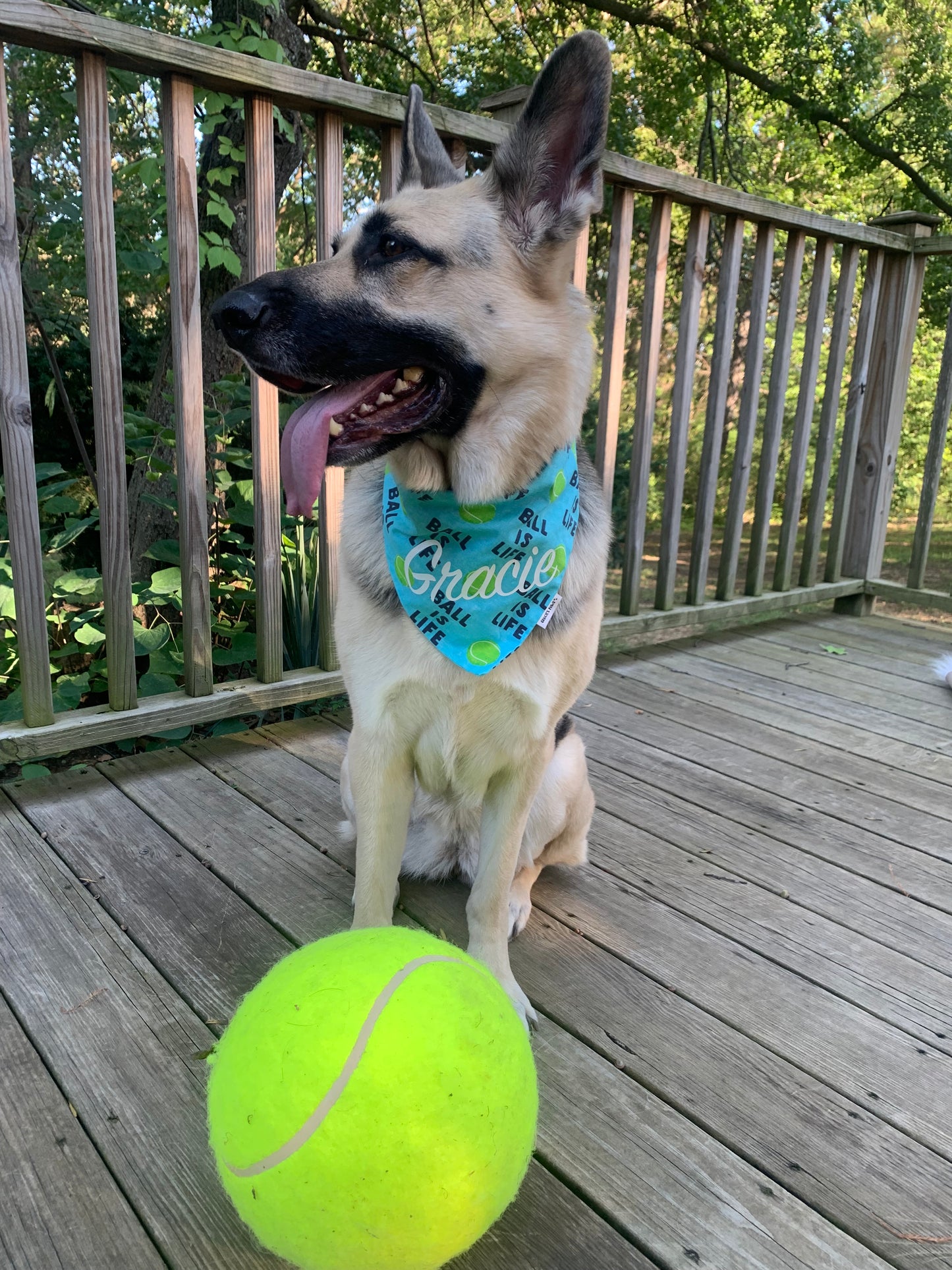 Ball is Life Bandana