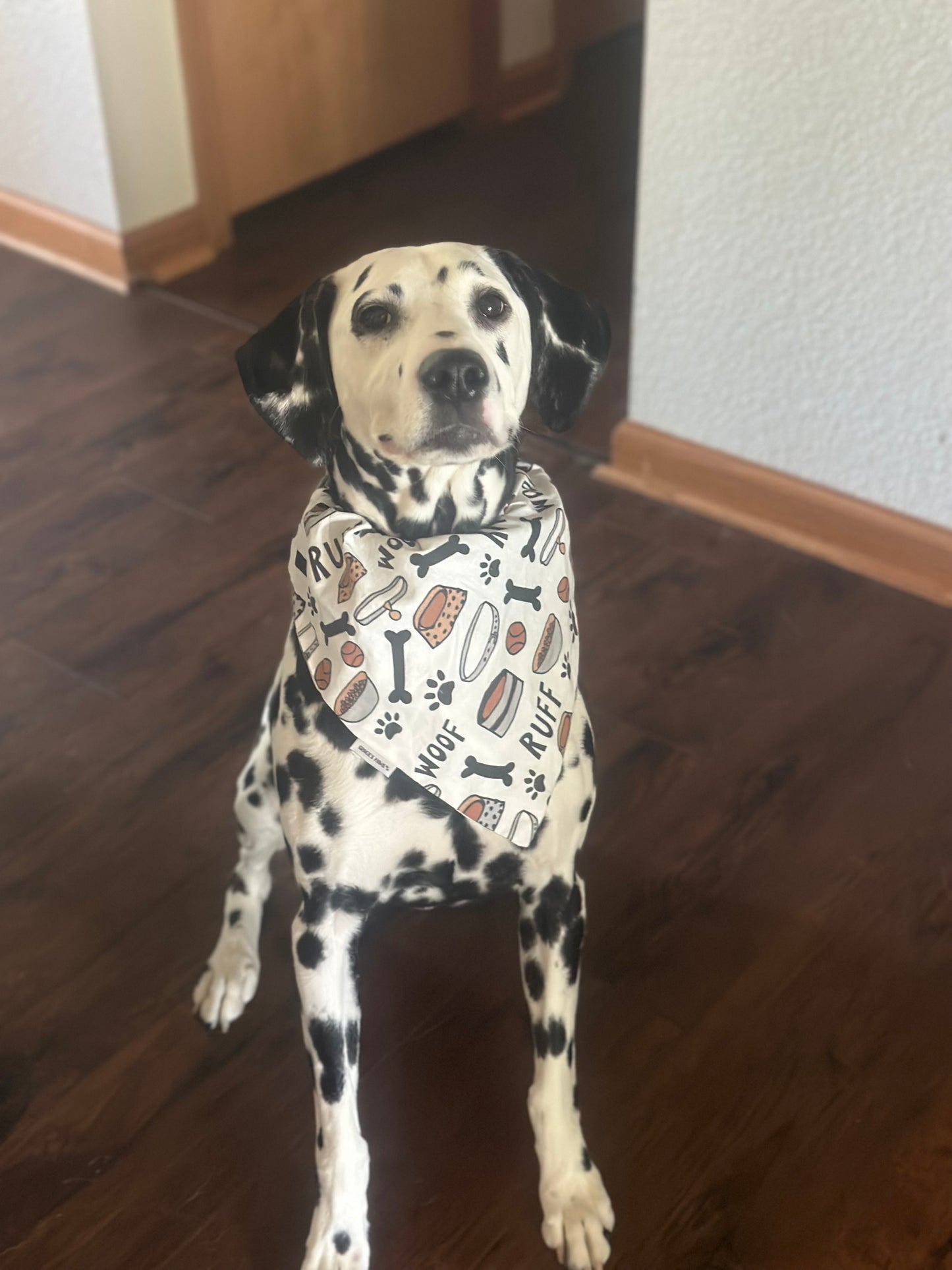 Dog Items Bandana