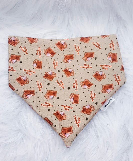 Hey Pumpkin Bandana