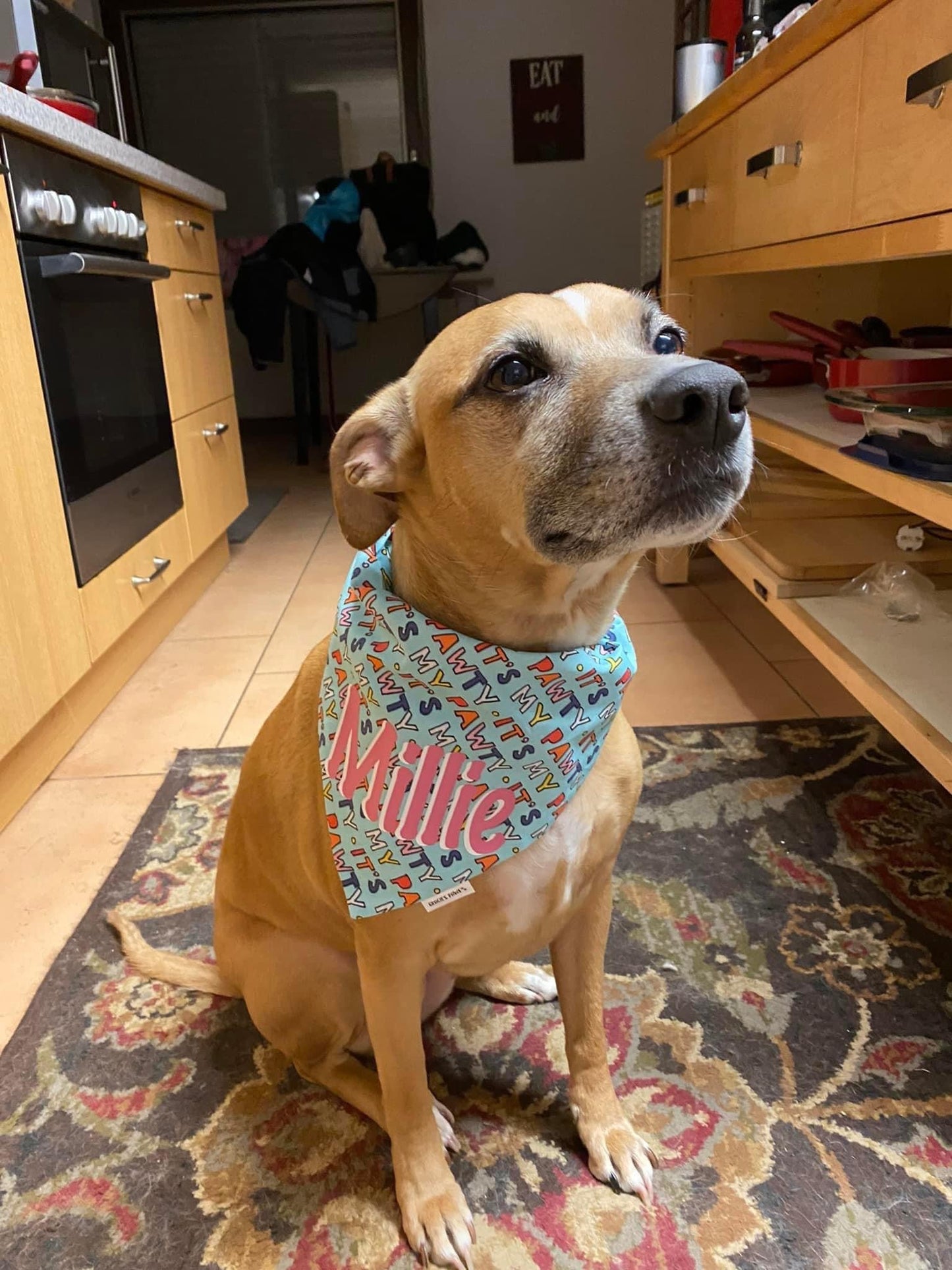 It's My Pawty Bandana