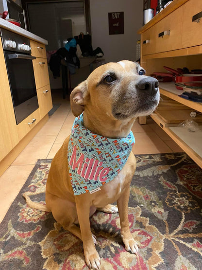 It's My Pawty Bandana
