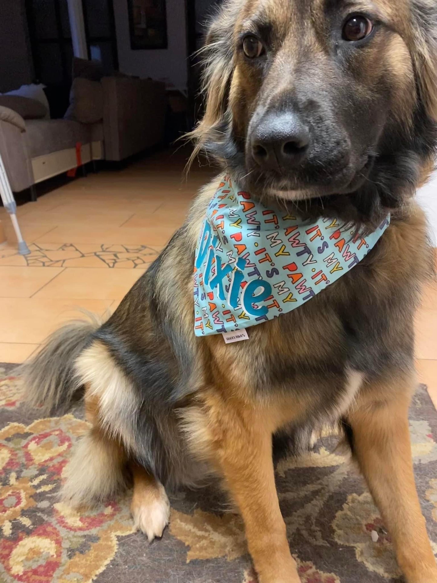 It's My Pawty Bandana