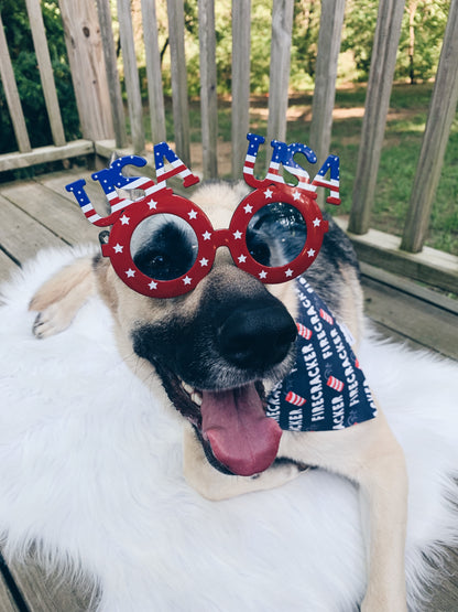 Firecracker Bandana