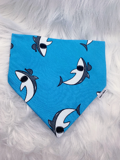 Shark Bandana