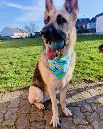 Ball is Life Bandana